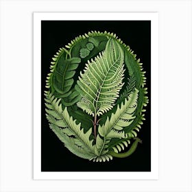 Shield Fern 1 Vintage Botanical Poster Art Print