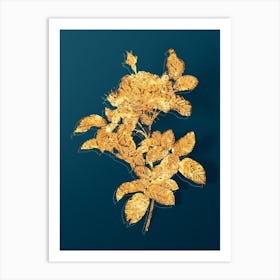 Vintage Red Gallic Rose Botanical in Gold on Teal Blue n.0047 Art Print