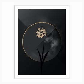 Shadowy Vintage Ixia Maculata Botanical in Black and Gold n.0191 Art Print