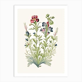 Nemesia Floral 3 Botanical Vintage Poster Flower Art Print