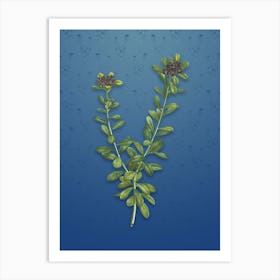 Vintage Daphne Sericea Flowers Botanical on Bahama Blue Pattern n.2094 Art Print