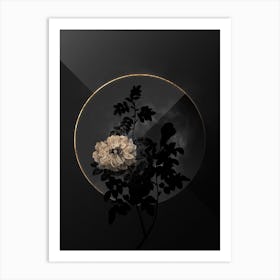 Shadowy Vintage Ventenat's Rose Botanical on Black with Gold Art Print