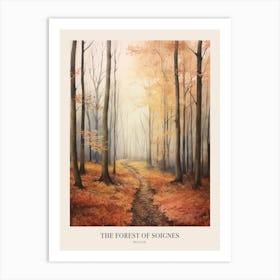 Autumn Forest Landscape The Forest Of Soignes Belgium Poster Art Print