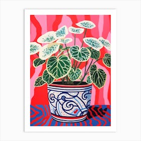 Pink And Red Plant Illustration Fittonia White Anne 3 Art Print