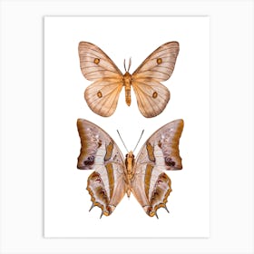Two Cream Colored Butterflies Art Print