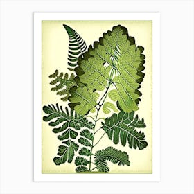 Maidenhair Fern Vintage Botanical Poster Art Print