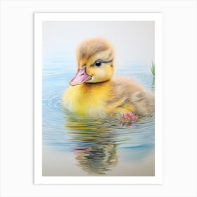Ducklings Floating Along The Water 1 Art Print