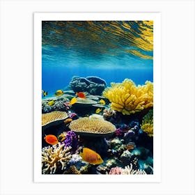 Coral Reef Underwater Art Print