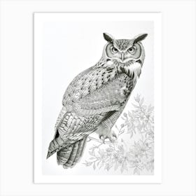Philipine Eagle Owl Drawing 2 Art Print