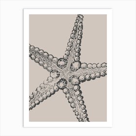 Starfish 13 Art Print