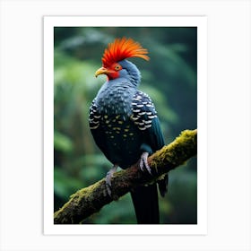 Rainforest Melody: Andean Jungle Bird Decor Art Print