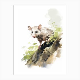 Light Watercolor Painting Of A Foraging Possum 2 Art Print