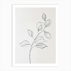 Leaves On A Branch 2 Art Print