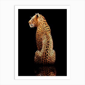 Leopard On A Black Background Art Print