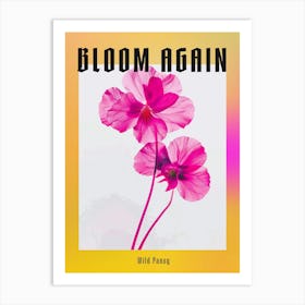 Hot Pink Wild Pansy Poster Art Print