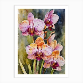 Psychopsis Orchids Water Colour 1 Art Print