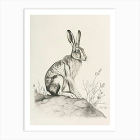 Lionhead Rabbit Drawing 4 Art Print