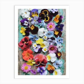 Pansy Collection Art Print