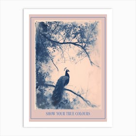 Cyanotype Inspired Peacock In The Tree 3 Poster Art Print