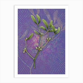 Vintage Viscum Album Branch Botanical Illustration on Veri Peri n.0922 Art Print