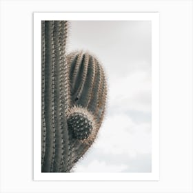 Saguaro Cactus Arms Art Print