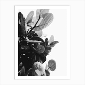 Black And White Leaves 1 Art Print