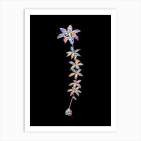 Stained Glass Wood Lily Mosaic Botanical Illustration on Black n.0161 Art Print