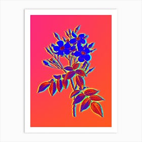 Neon Musk Rose Botanical in Hot Pink and Electric Blue n.0567 Art Print