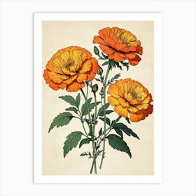 Carnations 1 Art Print