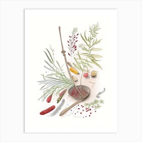 Butcher S Broom Spices And Herbs Pencil Illustration 2 Art Print