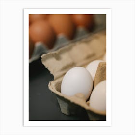 Eggs In A Carton 2 Art Print