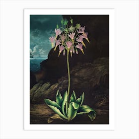 Flower Of The Sea Art Print