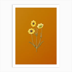Vintage Perennial Dyer's Coreopsis Flower Botanical on Sunset Orange n.0874 Art Print