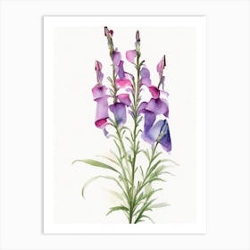 Beardtongue Wildflower Watercolour Art Print