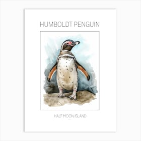 Humboldt Penguin Half Moon Island Watercolour Painting 2 Poster Art Print