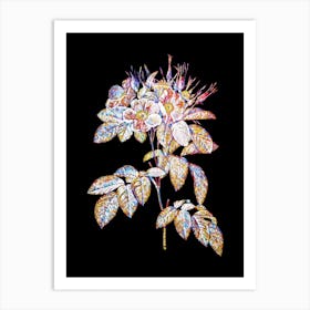 Stained Glass Pasture Rose Mosaic Botanical Illustration on Black Art Print