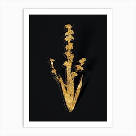Vintage Pale Yellow Eyed Grass Botanical in Gold on Black n.0502 Art Print