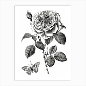 Butterfly Rose Line Drawing 2 Art Print