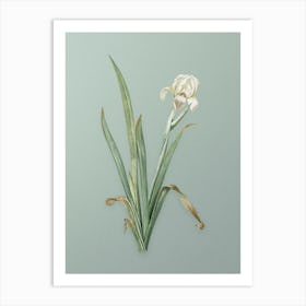 Vintage Crimean Iris Botanical Art on Mint Green n.0314 Art Print