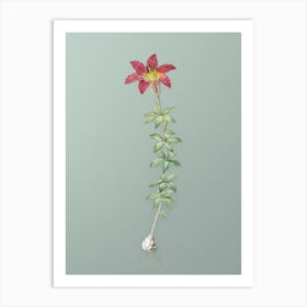 Vintage Wood Lily Botanical Art on Mint Green n.0639 Art Print