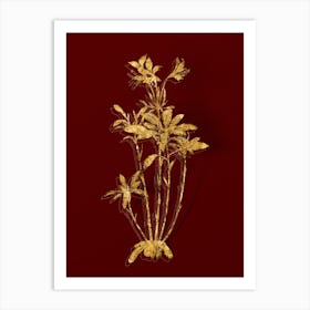 Vintage Lily of the Incas Botanical in Gold on Red n.0313 Art Print