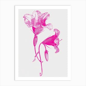 Hot Pink Canterbury Bells Art Print