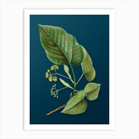 Vintage Linden Tree Branch Botanical Art on Teal Blue n.0353 Art Print