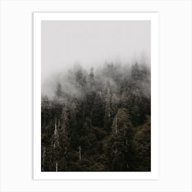 Misty Forest Scenery Art Print