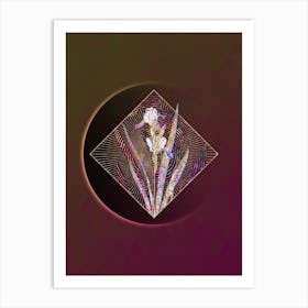 Abstract Tall Bearded Iris Mosaic Botanical Illustration n.0237 Art Print