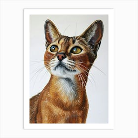 Abyssinian Cat Painting 2 Art Print