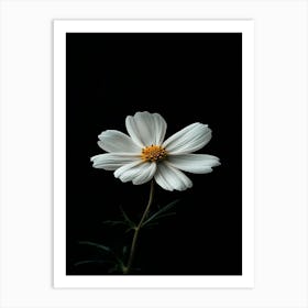 White Flower On A Black Background 3 Art Print