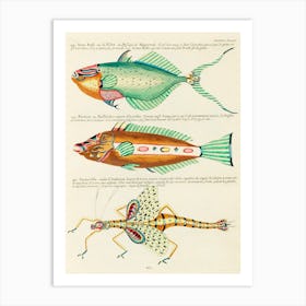 Colourful And Surreal Illustrations Of Fishes Found In Moluccas (Indonesia) And The East Indies, Louis Renard(31) Art Print