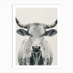 Longhorn Canvas Print 3 Art Print