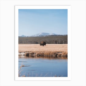 Icy Winter River Bison Art Print